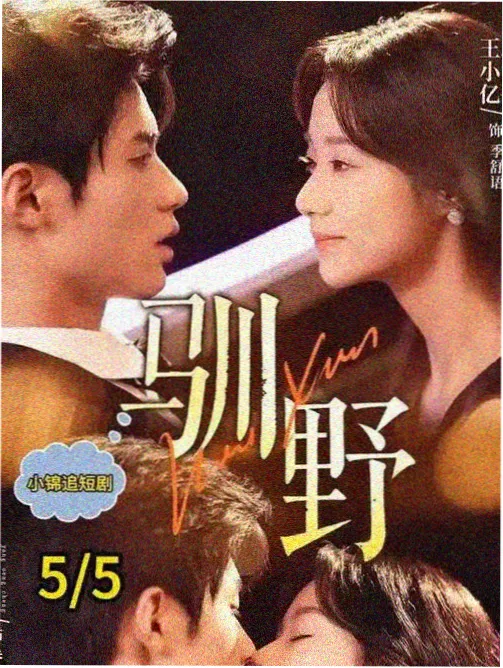 夜班编辑部的女人职场剧海报